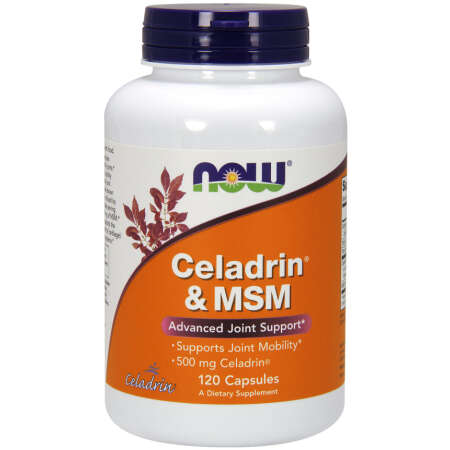NOW Foods Celadrin & MSM, 500mg - 120 caps