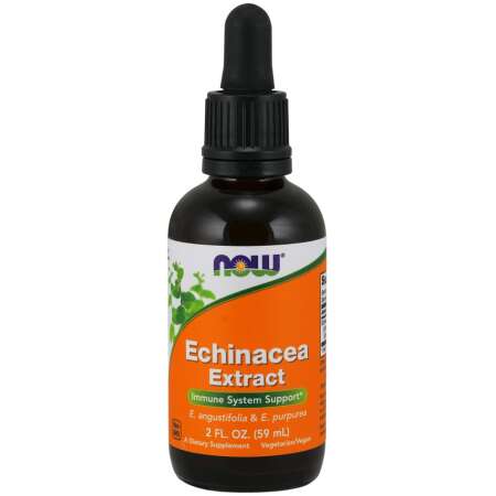 NOW Foods Echinacea Extract - 59 ml.
