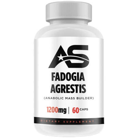 American Supps Fadogia Agrestis, 1200mg - 60 caps