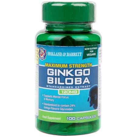 Maximum Strength Ginkgo Biloba, 120mg - 100 caps