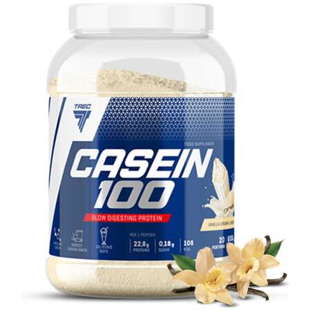 Casein 100, Vanilla - 600g
