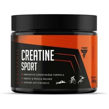 Endurance Creatine Sport, Fruit Punch - 300g