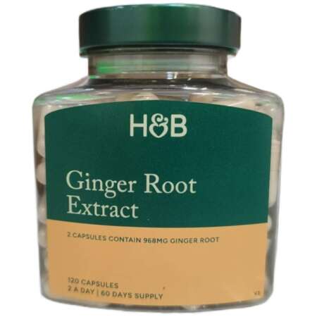 Ginger Root Extract - 120 caps